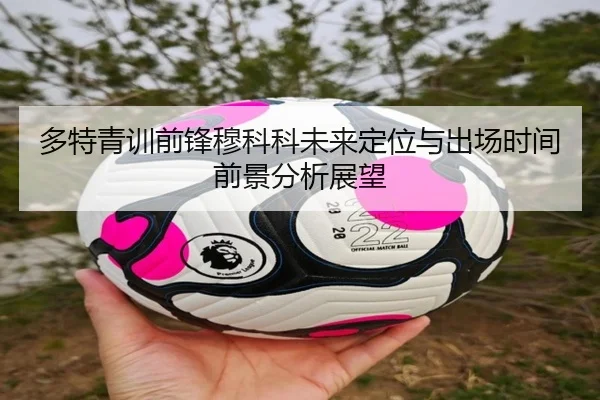 多特青训前锋穆科科未来定位与出场时间前景分析展望